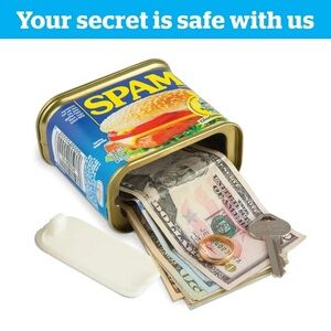 New Span Secret Safe 
2 for the price of one.